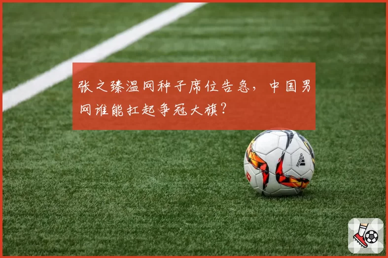 张之臻温网种子席位告急，中国男网谁能扛起争冠大旗？