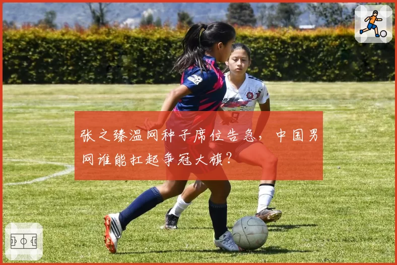 张之臻温网种子席位告急，中国男网谁能扛起争冠大旗？