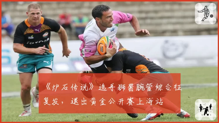 《炉石传说》选手狮酱腕管综合征复发,退出黄金公开赛上海站